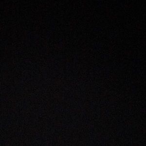 Meet your Posher, Shaylee